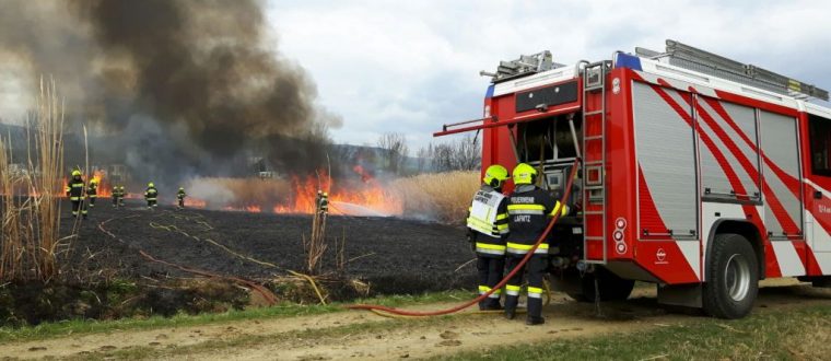 Großflächenbrand in Seibersdorf