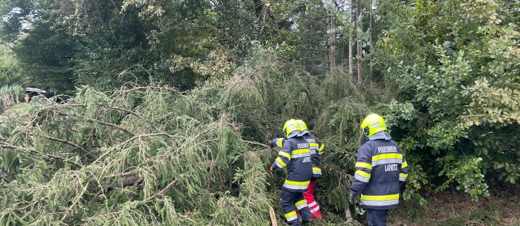 Einsatz: Stumschäden umgefallene Bäume